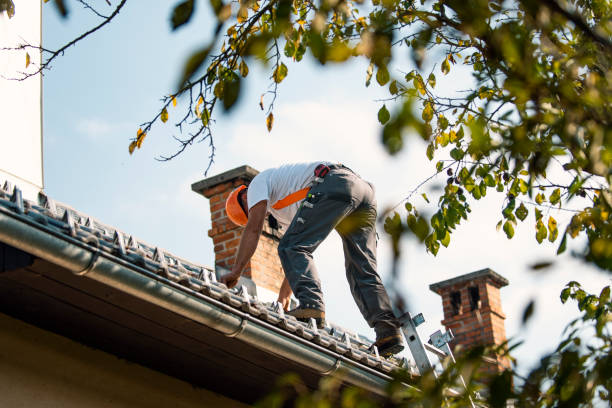 Best Storm Damage Roof Repair  in Trempealeau, WI