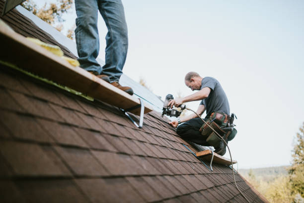 Quick and Trustworthy Emergency Roof Repair Services in Trempealeau, WI